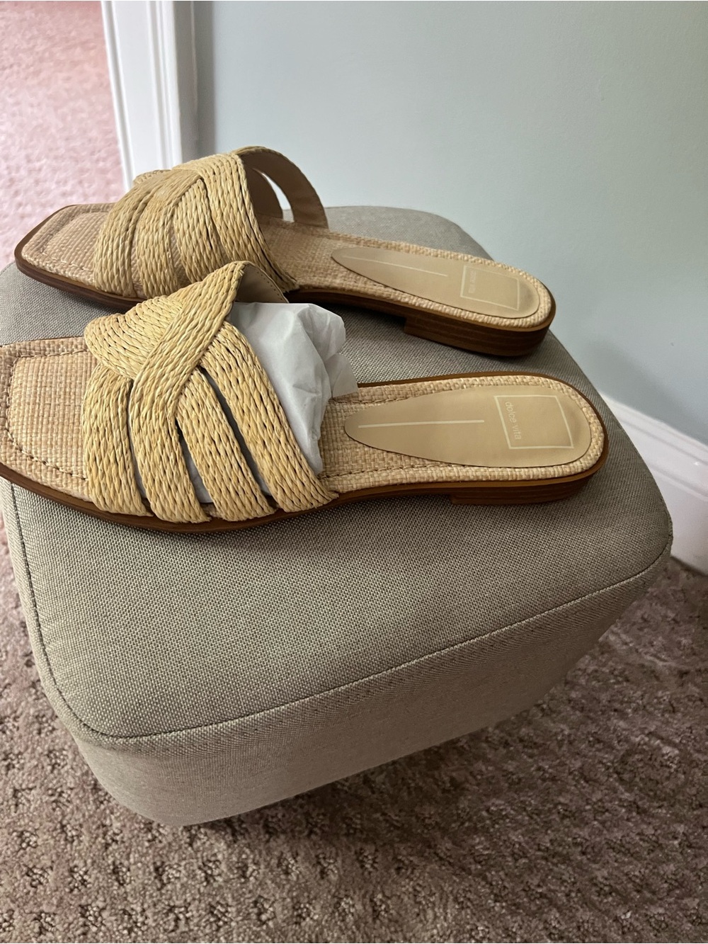 Dolce Vita Raffia slides
